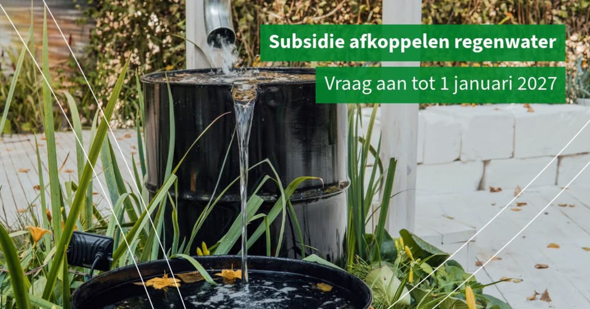 Afkoppelen 747512966_1011294448411312_7280582409942645294_n