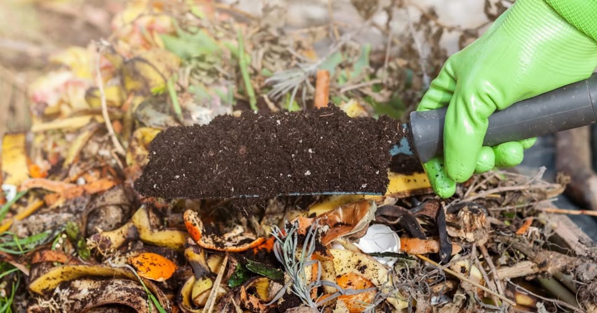 Compost 652421222_1345979367561401_6637885128666079574_n