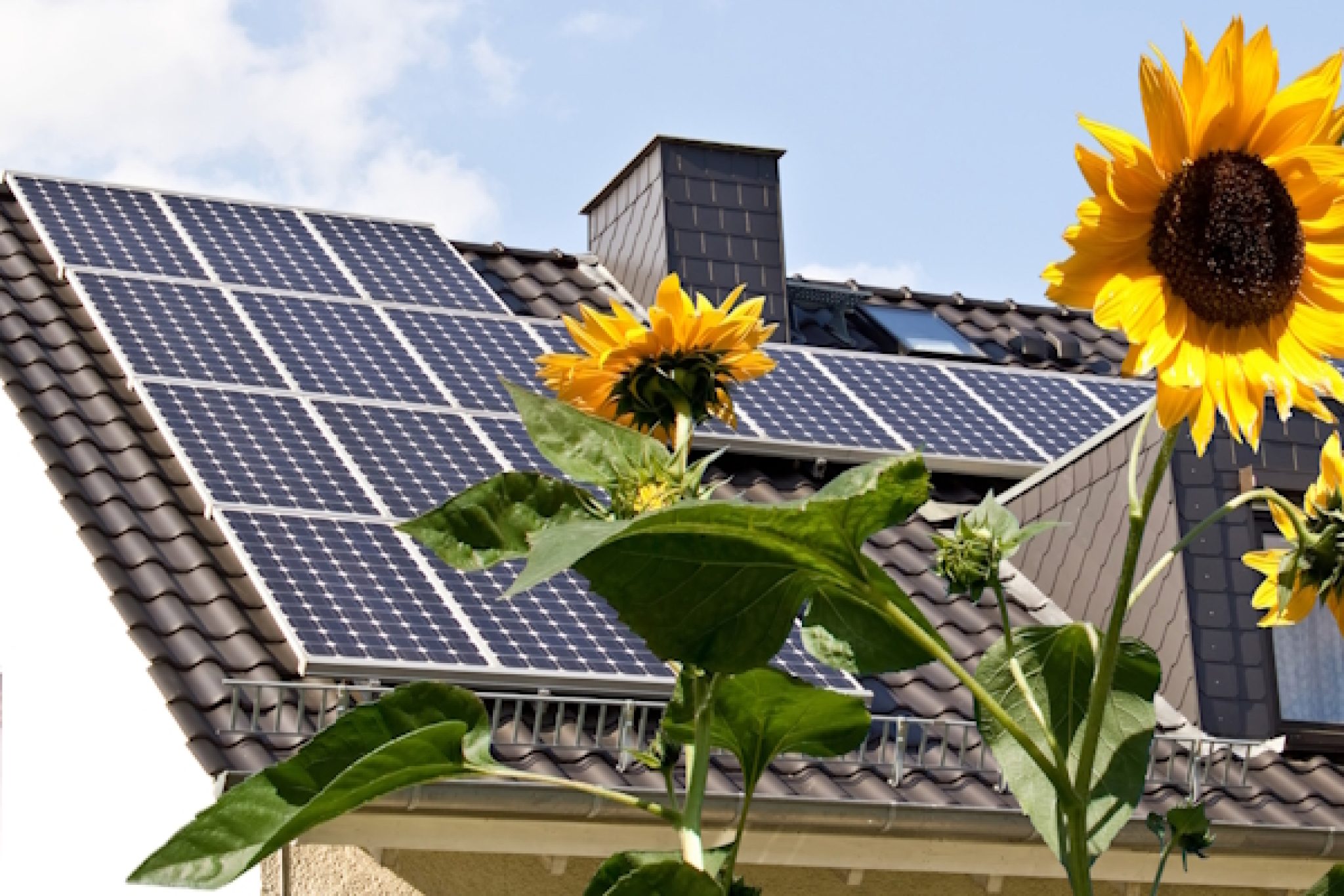 Solar,Cells,On,A,Roof,With,Sun,Flowers,In,The