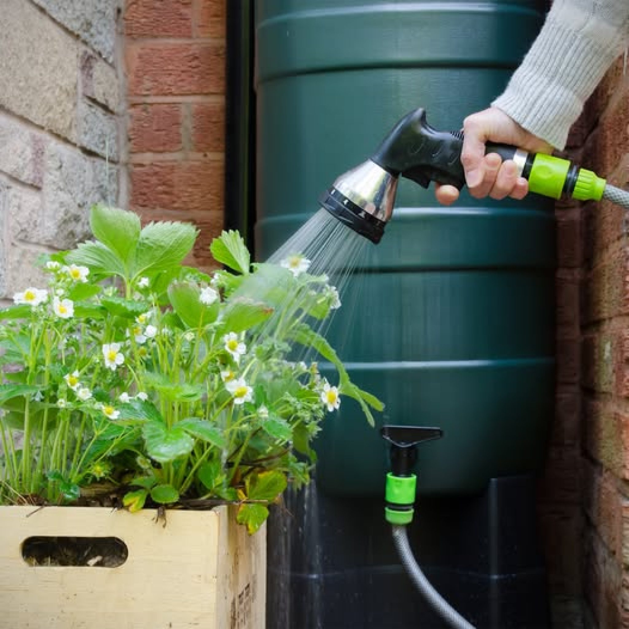 Groen Tuin 653704947_1346297677529570_7348214282082301926_n