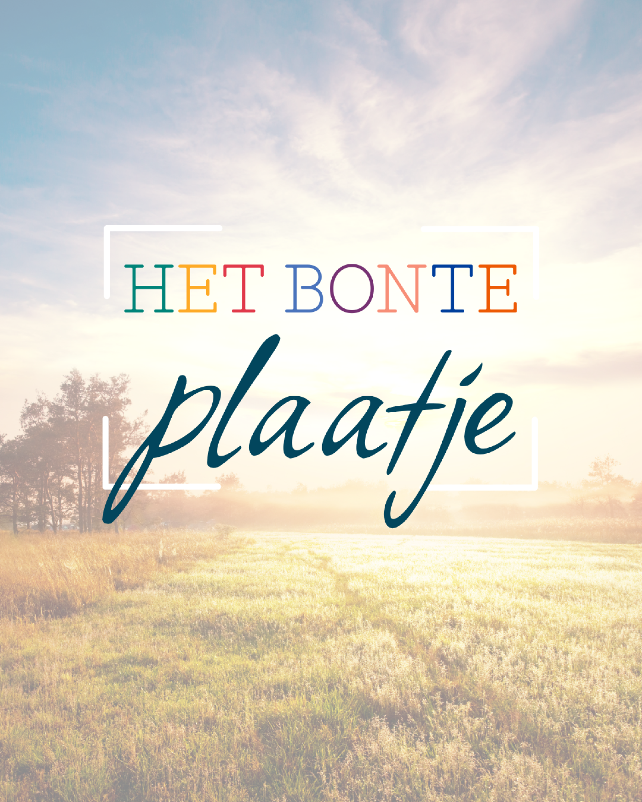Het-bonte-plaatje