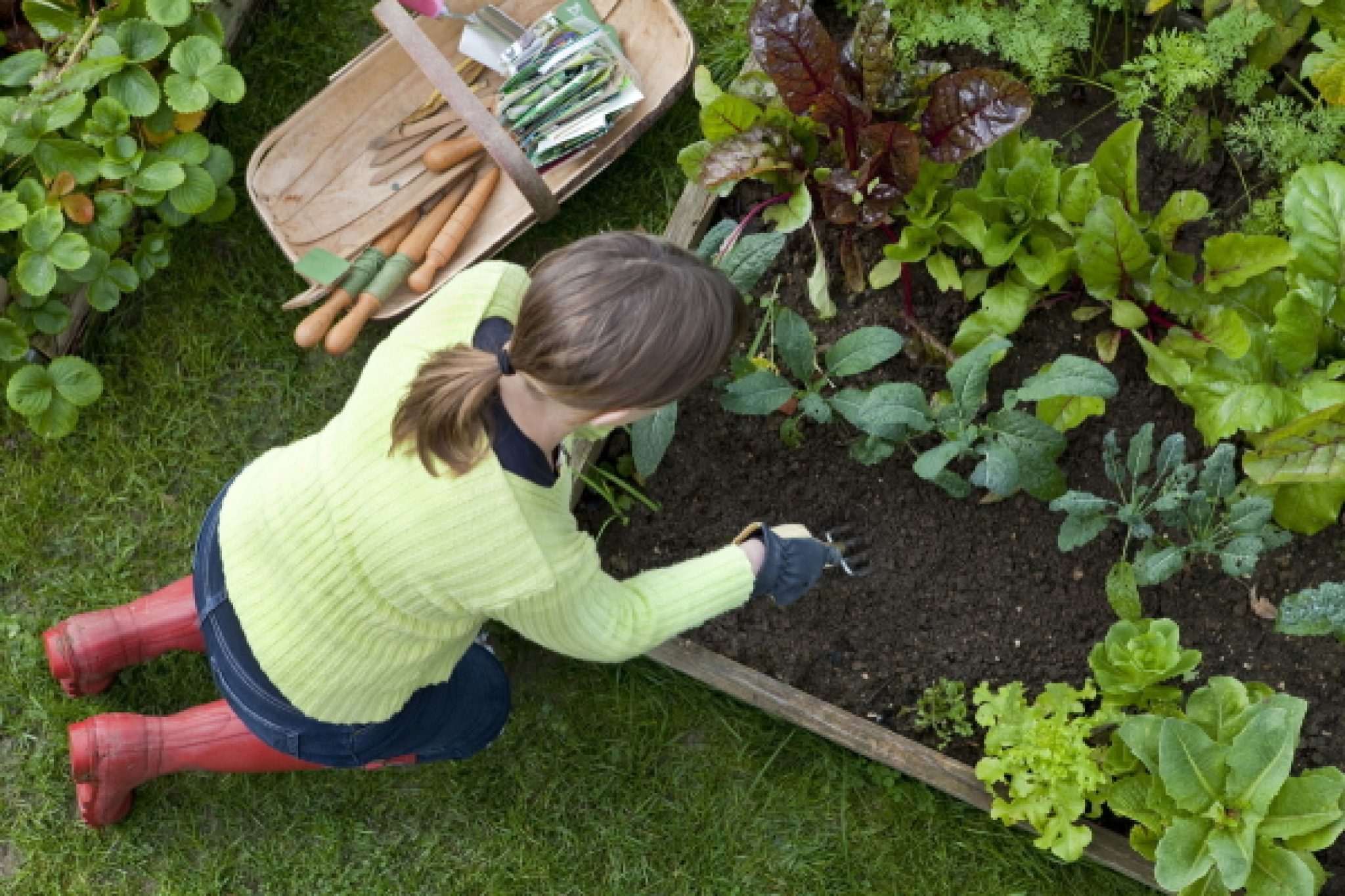 Hitte a46e786_w600_moestuinnieuwsbrief