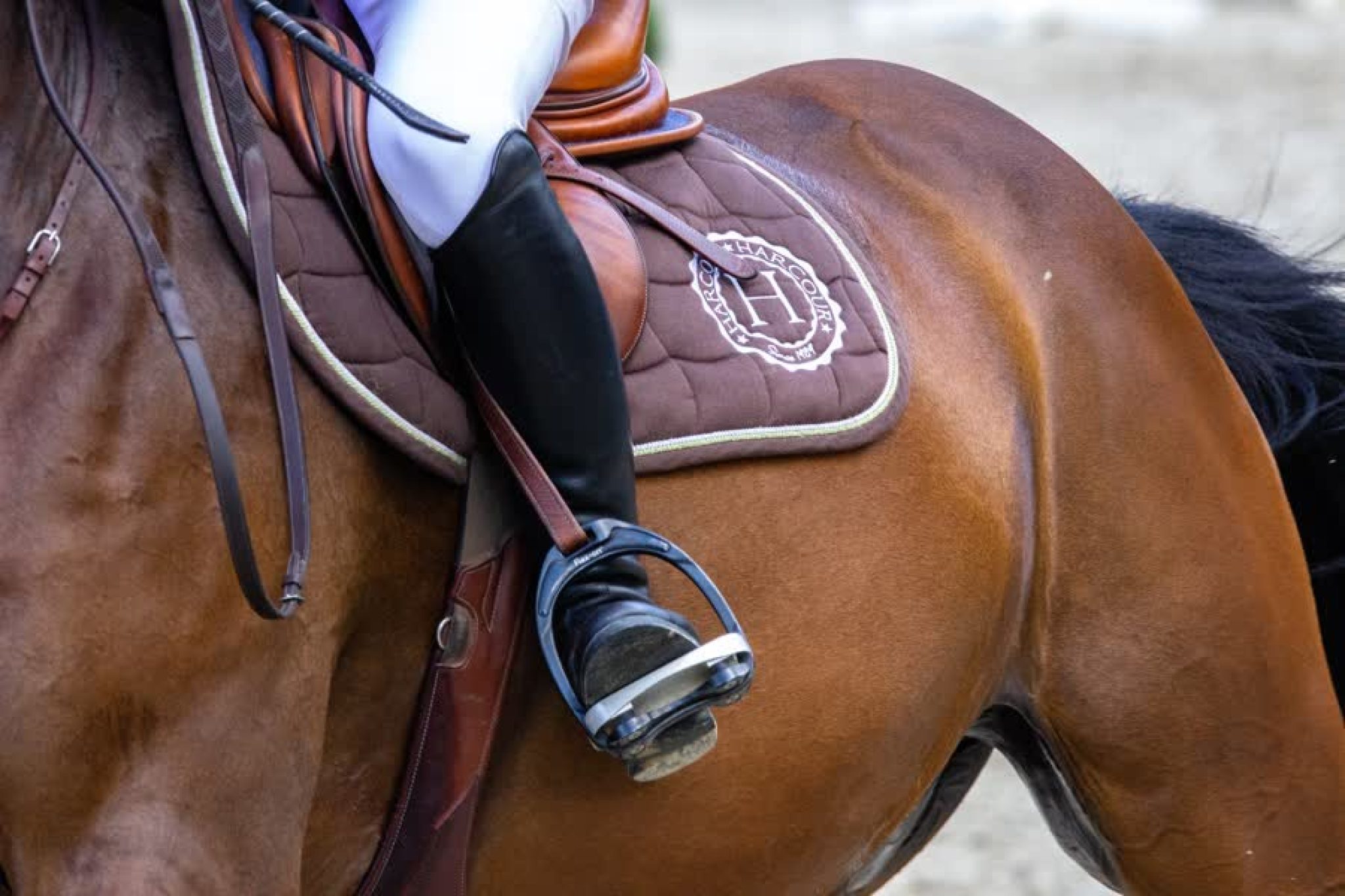 Paardensport PenM c304a1fb0cd5d146e0e74bc3a073d17d