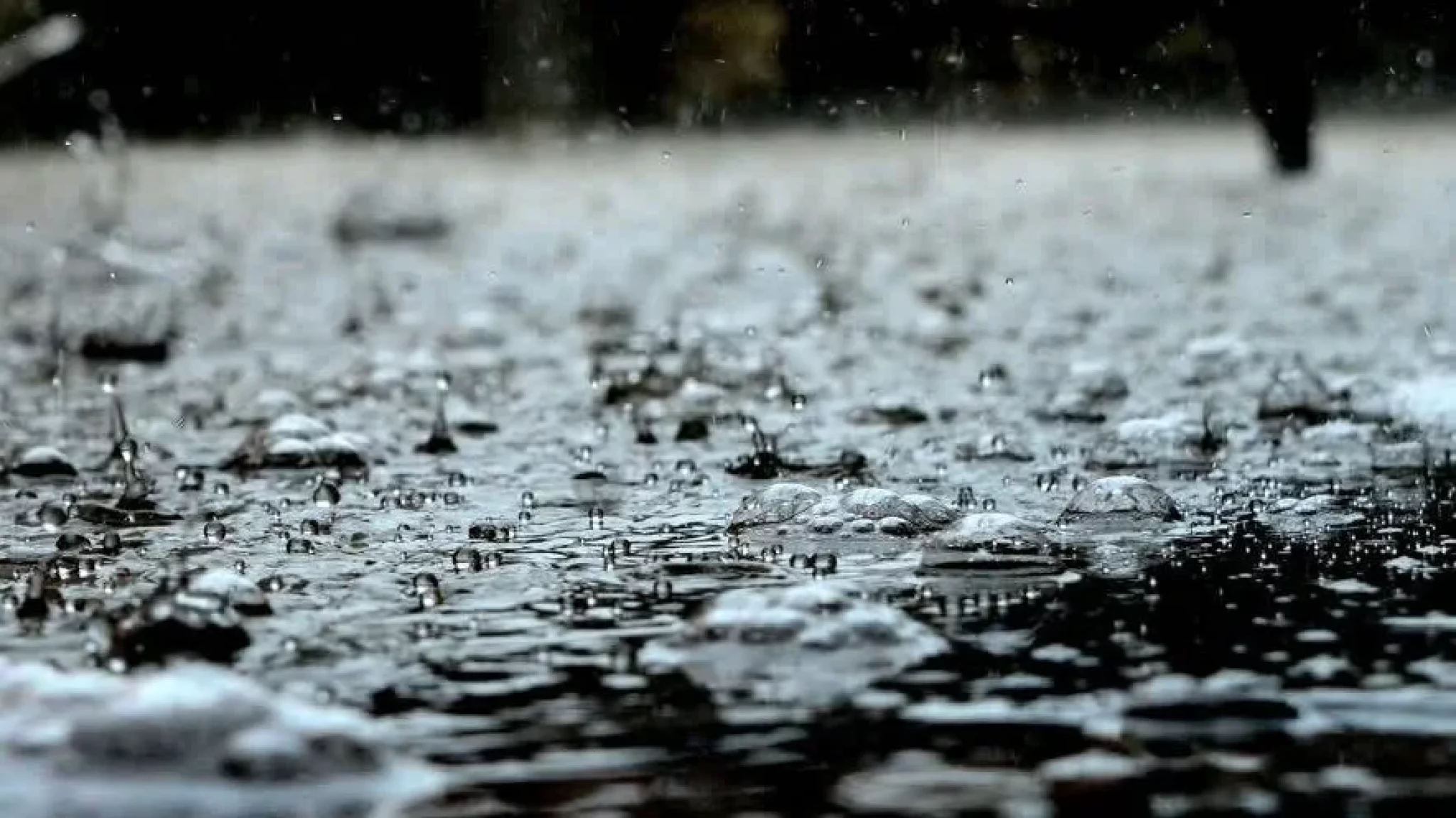 Regen 6d5c9a8db70c08b30c2cd81958ae1cb8