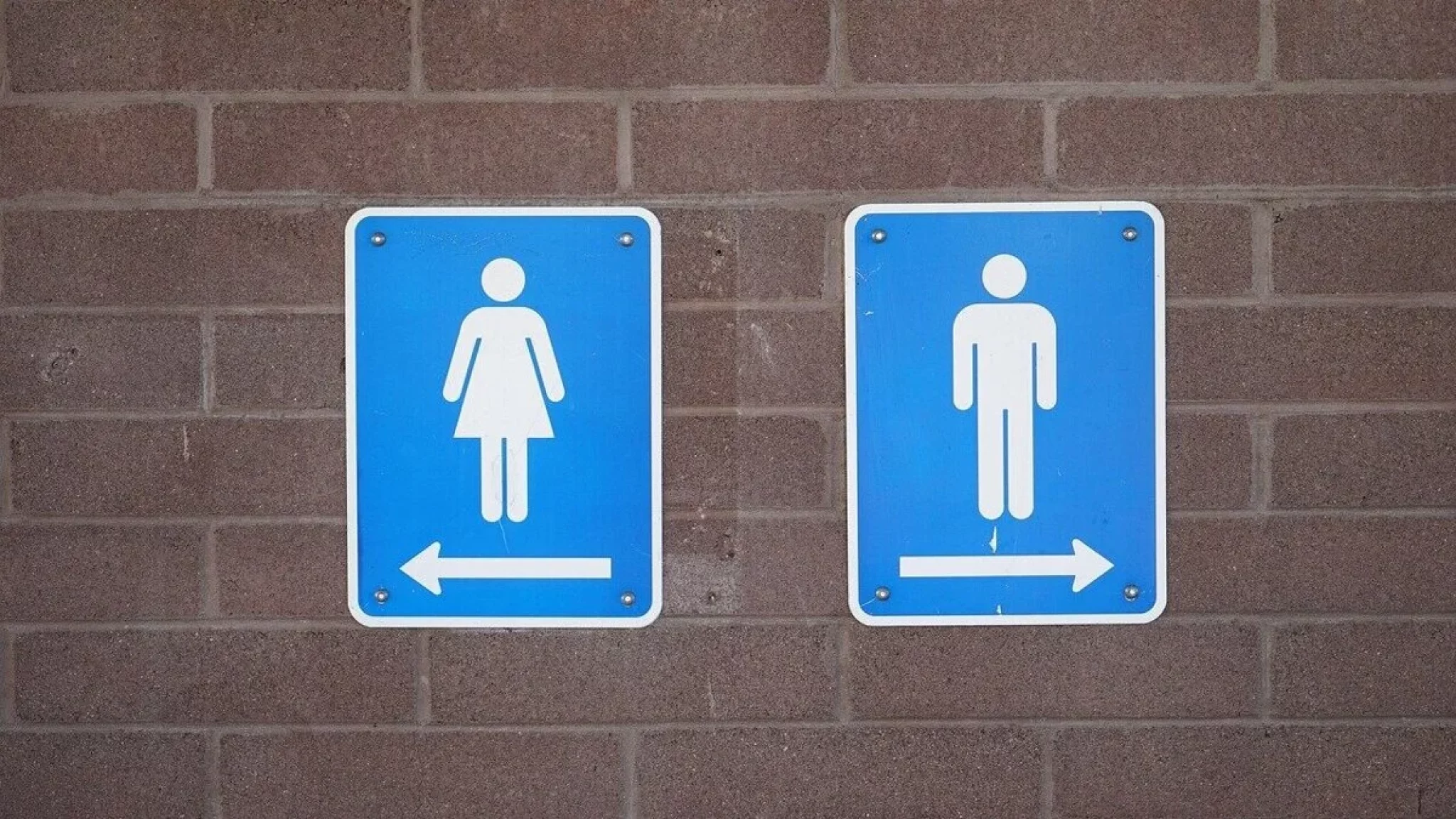 Toilet 56c492a349cb68e5b3c4dbfa405bafe4
