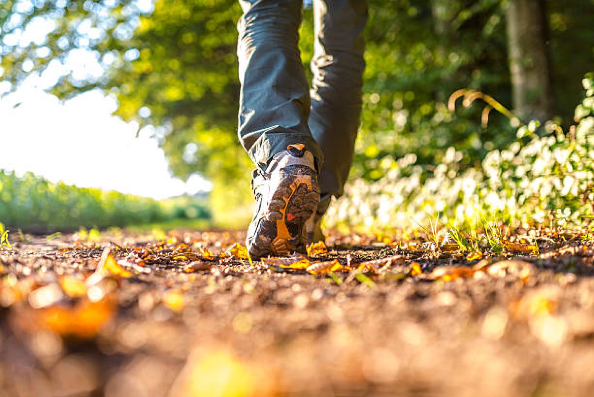 Closeup of male legs hiking in nature.